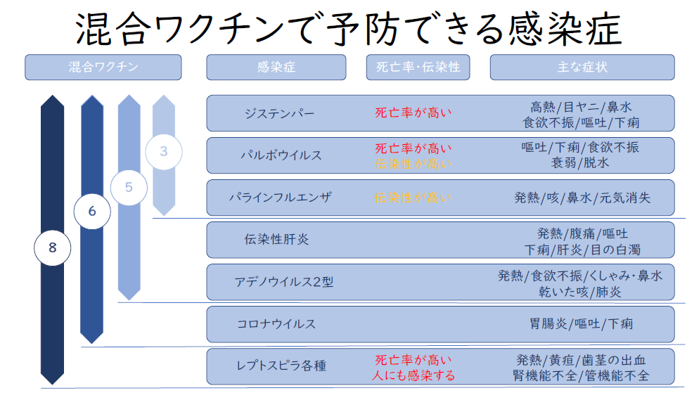 混合ワクチン みらいペットクリニック さいたま市 岩槻区 動物病院